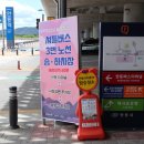 봉정사&만휴정테마 | 안동 당일치기 국내여행, 뚜벅이도 다 둘러볼 수 있는 &#39;안동시티투어&#39;