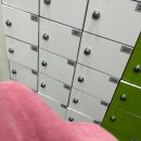 대지스파랜드 이미지