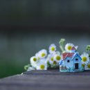 꽃이야기 이미지