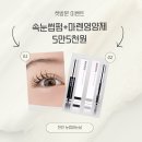 눈썹하는날
