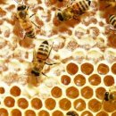 김동석농장 이미지