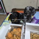 남다른썬치킨 (연산1호점) 이미지