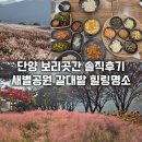 단양 보리곳간 | 단양 보발재 맛집 보리곳간 솔직한 후기 + 새별공원 갈대밭 뜻밖의 힐링명소
