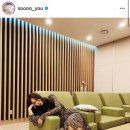 미쓰백헤어 이미지