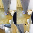 왈왈애견미용샵 이미지