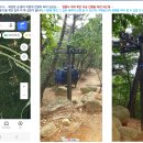 삼성초교 이미지