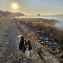 석양이 예쁜집 이미지