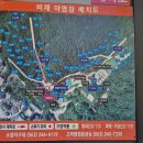 비채야영장 네이버블로그