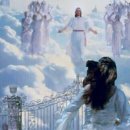 2024.1.1. 한국교회에 이단사상 이미지