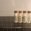 신라스테이 서대문 이미지