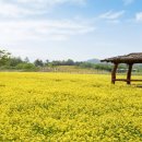 대한꽃농원 이미지