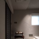 스테이바누 이미지