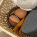 서몽 이미지