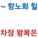 세영리첼 사거리A 이미지