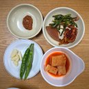 원조 할매 곰탕집 | 대구 원조현풍박소선할매집곰탕 후기🍲