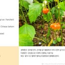 능전 이미지