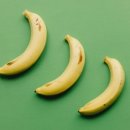 바나나 이미지
