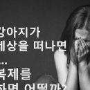토닥토닥동물병원 이미지