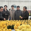 일본트렌드연구소 이미지
