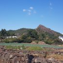 사계초등학교 병설유치원 이미지