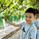 늘솔길공원1 이미지