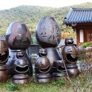 원진축산 Daum카페