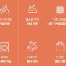 현과일야채