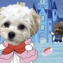 도안우리약국 | [곰신일기] 훈련소 0~5주차 일기(각꾸)