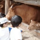 (주)해피나무 | 춘천 여행코스 아이랑 가기 좋은 해피초원목장