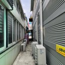 송하낙지 이미지