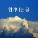 ♬ 남자는 말합니다 - 장민호 ♬ 이미지