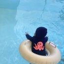 스테이 로운 이미지