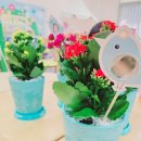 방배초교병설 이미지