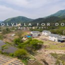 포독스1 이미지