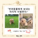 무지개케어 이미지