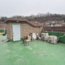 중앙동190 이미지