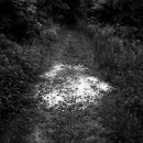 하모리-17 이미지