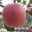 약수골 농장 이미지