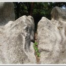 영신숲길2 이미지