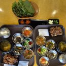 2026.08.10. 월정라[포천(축석고개~국립수목원)~남양주(순강원~풍양궁 구궐유지비)] 후기[역사탐방] 이미지