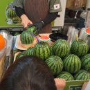 맛난녀석들 이미지