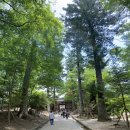 [경남 합천] 합천 여행지, 합천 가볼만한 곳, 해인사 맛집 - 해인사, 영상테마파크, 삼성식당, 숙소 달...