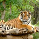 아침고요 이미지