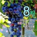 여름철 건강의 파수꾼 8월 3일 (토)은 수박의 날 이미지