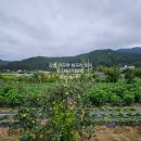 퇴곡1리 이미지
