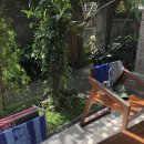 키무 | 7) : 칸토람포 폭폭/블루라군 탄중제푼 스노쿨링 니모/KIMU RAMEN 키무 라멘/우붓 Zest/수카 에스프레소