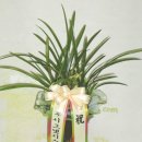 왕산중학교 이미지