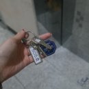 호스텔 데이 이미지