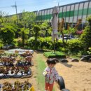 아이사랑몬테소리 어린이집 이미지