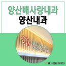 배사랑내과의원 이미지